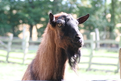 Killikus&reg; Fotographie